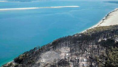 Photo de France: le vaste incendie en Gironde a cessé de se propager